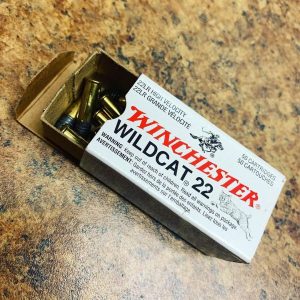 Winchester Wildcat 22 LR Ammo 500 Rounds